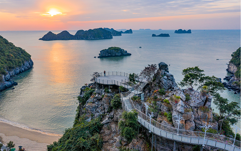 tam nhin su menh thuong hieu