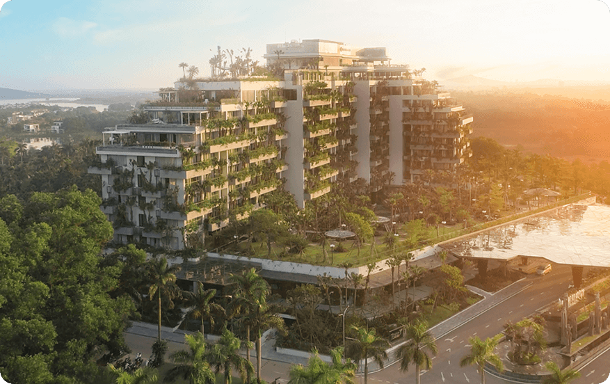 Lĩnh vực hoạt động