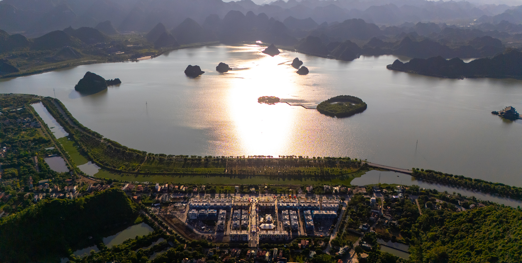 Flamingo Golden Hill